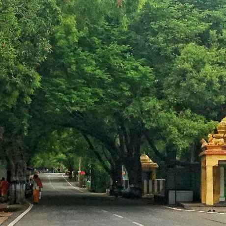 Girivalam path forest area