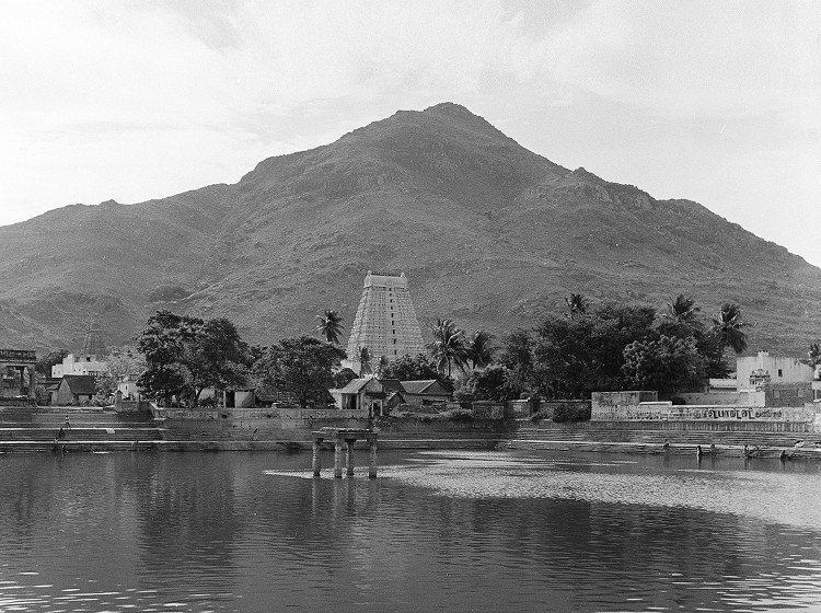 Arunachala prizor